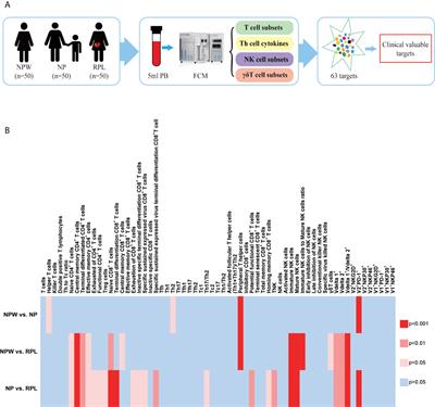 Systemic Characterization of Novel Immune Cell Phenotypes in Recurrent Pregnancy Loss